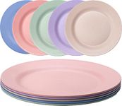 Orrdiffi 10'' Dinner Plates Set of 5 Reusable Plastic Plates Dishwasher & Microwave Safe,Lightweight & Unbreakable Camping Plate,Salad Plates, Dessert Plates BPA Free and Healthy for Adult Kids(25cm)