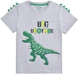 Dinosaur Big Brother Announcement T Shirt Sibling Outfits for Toddler Boys…, Grey, 2-3 Years