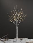 LIGHTSHARE 4 Feet Birch Tree, 48 LED Lights, Warm White, for Home, Festival, Party, and Christmas Decoration, Indoor and Outdoor Use