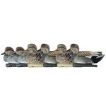 Avian-X 8085 Topflight Gadwall Duck Decoys, 6 Pack, One Size, Realistic