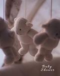Baby Shower: Teddy Bears | Memory J
