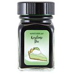 MONTEVERDE USA 1919907 Mini Bottle Ink, 1.1 fl oz (30 ml) Key Lime Pie (Lime Green)