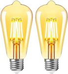 E27 Vintage Light Bulb,6W Led Equiv