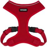 Voyager Aerolite No Pull Mesh Dog H