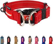 EzyDog Double Up Dog Collar - Refle