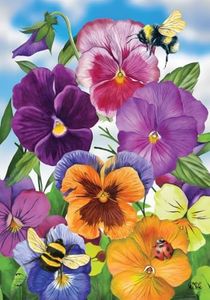 Pansies Sp