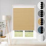 Window Blinds Cordless Cellular Shades Blackout Fabric Blinds Honeycomb Shades Pale Beige-White, 35x64 inch