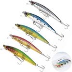 WANBY Fishing Lures Proven Explosive Color Special Minnow Swimbait Vibrating Jigging Freshwater Saltwater Fishing Lures with Hook Fishing Tackle for Trout Bass Salmon (Minnow)