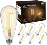 DAYBETTER Vintage LED Edison Bulbs,