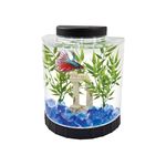 Tetra LED Half Moon Betta Aquarium, 1.1-Gallon