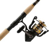 PENN Battle IV Spinning Reel and Fi