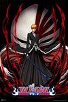 Bleach Poster Anime Merch Manga Ichigo Merchandise Series Comic Art Action Character Swords Ichigo Kurosaki Soul Reaper Viz Media Japanese Animation Cool Wall Decor Art Print Poster 24x36