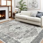 Area Rug 3x5 Washable Rug Non-Slip Area Rugs for Bedroom Living Room Kitchen, Printed Low-Pile Ultra-Soft Cute Dorm Rug Room Decor for Teen Girls(Border Grey)