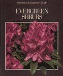 Evergreen Shrubs