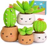 Crochet Kit for Beginners - Beginne