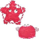 Blueberry Pet Pack of 2 Squeaky Plu