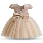 TTYAOVO Baby Girl Flower Dresses Birthday Party Tutu Dress Size (80) 6-12 Months 07 Champagne-T