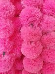 Brikshi Artificial Marigold Flowers for Decoration Long Marigold Garlands for Decoration Toran Indian genda phool for Wedding & Festival |5 Feet Long (Pack of 10, Pink)