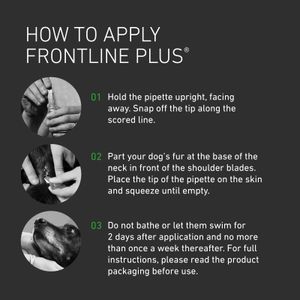 Frontline Plus Flea & Tick Treatment for Medium Dogs