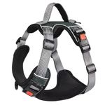 PetVogue Dog Harness No Pull With Front Clip, Dog Walking Chest Harness With Reflective Adjustable Soft Padded Vest And Easy Control Handle, No-Choke Pet Harness, Black