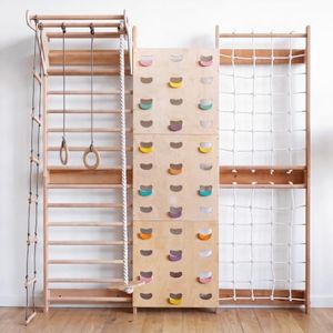 Goodevas Kids Climbing Frame | Montessori Wooden Playground with Swedish Wall, Climbing Wall, Net, Swing & Monkey Bar for Toddlers – Wall-Mounted Indoor Gym
