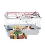 Living World Deluxe Guinea Pig Starter Kit, 78cm L x 48cm W x 50cm H (30.7-Inch x 18.9-Inch x 19.7-Inch)