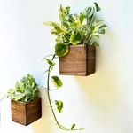 LaLaGreen Wood Planter Box for Plants (2 Pack, 4x4 Inch) Small Square Wall Planters for Indoor Plant, Window Hanging Flower Pot Wooden Boxes for Table Centerpiece Herb Balcony Home Garden Office Decor