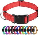 TagMe Reflective Nylon Dog Collars, Adjustable Classic Dog Collar with Quick Release Buckle for Small Dogs, Red, 2.0 cm Width