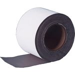 EternaBond RSW-2-50 White Roof Seal