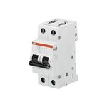 ABB S202-C32 Miniature Circuit Breaker, 2 Pole, Type C, 6/10kA Breaking Capacity, 32 Amp Current (2CDS252001R0324)