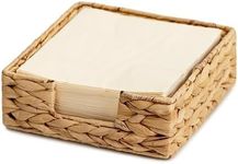 StorageWorks Water Hyacinth Napkin 