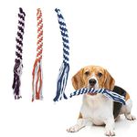 ASOCEA 3 Pack Dog Cotton Rope Toy for Dog Chase and Tug Interactive Pet Chew Toy Dog Tether Lure Teaser Toy Dog Flirt Pole Replacement Toy to Outdoor Exercise & Training for Small Medium Dogs Puppies Breed Chewers