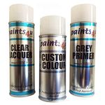 Paints4u compatible with RENAULT Full Basecoat Aerosol Repair Kit MAPLE RED NXE