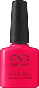 CND Shella