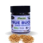 True Bugs Dried MEALWORMS for Fishes (100ml Pack) | High Protein Treat Food for All Life Stages Arowana, Flowerhorn, Cichlid Food, Fishes, Birds, Reptiles, Monkeys, Turtle and Other Pets