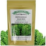 White Russian Kale Seeds for Planting in Canada (Approx. 1,000 Seed - 5 Gram) Indoor Outdoor Hydroponics