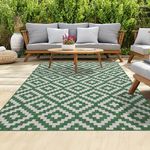 homeart Outdoor Rugs | Easy-Cleaning Indoor & Outdoor Area Rugs for Porch, Deck, Balcony, Garden, Picnic, Kitchen, Hallway | UV & Weather-Resistant Large Patio Rug Mats Green Cream, 80 x 150 cm