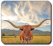 Art Plates Mouse Pad - LongHorn