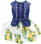 Fitwarm Lemon Denim Dog Dress, Dog Clothes for Small Dogs Girl, Pet Cat Outfit, Blue, White, Yellow, Green, Small