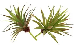 LJY 2 Pieces Realistic Artificial Faux Succulent Yucca Vera Greenhouse Small Plants Unpotted for Home Garden Decoration (Autumn Green)