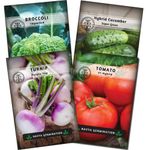 4 Packet of Fresh Vegetable Garden Seeds Mix of Hybrid Tomatoes, Turnip Purple, Hybrid Cucumber, Broccoli Seeds for Home Gardening & Farming