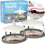 Flea Traps