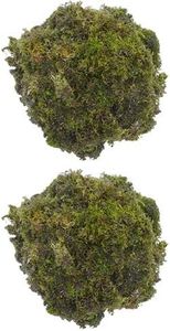 DR ARYA Natural Dried Moss Grass Preserved for Pots with The Nice Green Appearance for Home and Garden - 5 KG