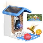 Bird Feeder with Camera Smart Bird House with Cam Live Squirrel Proof Solar Powered Bird Watching Camera AI Identify with 4K High Resolution