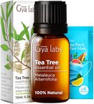 Gya Labs Australian Tea Tree Oil for Skin - 100% Natural Therapeutic Tea Tree Oil for Hair - Pure Tea Tree Oil for Face - Tea Tree Essential Oil for Toenail, Scalp & Piercings (10ml)