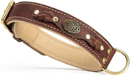 Viper Regal Padded Leather Dog Collar with Braided Accents & Nappa Leather Lining – Full-Grain Leather, Luxurious Comfort, 1.5in Wide | Premium Quality for Medium, Large & Giant Breeds