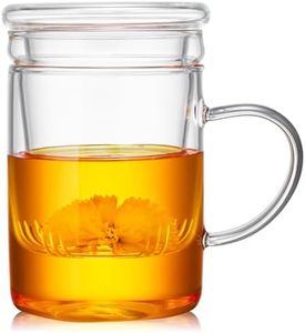 Unbreakable Glass Tea Cup with Infuser and Lid - 17oz Tea Mug for Loose Leaf Tea, Infusion Mug with Glass Filter and Glass Lid
