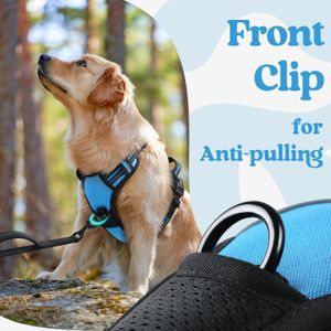 rabbitgoo Small Dog Harness, Sky Blue, Size M – No Pull Adjustable