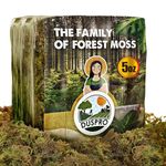 DUSPRO Premium Dried Forest Moss for Potted Plants, Ideal for Orchid Moss Potting Mix Indoor Moisture Repotting Orchid Soil Medium, Terrarium Decor, Natural Reptile Vine 4qrt