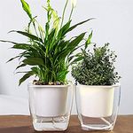 ABOUT SPACE Self Watering Pot - 5 Inch Plastic Automatic Watering Planters with Transparent Pot for Succulent, Foliage Plants, and Herbs - Indoor, Outdoor, Balcony, Garden, Home (Set of 2, Only Pots)